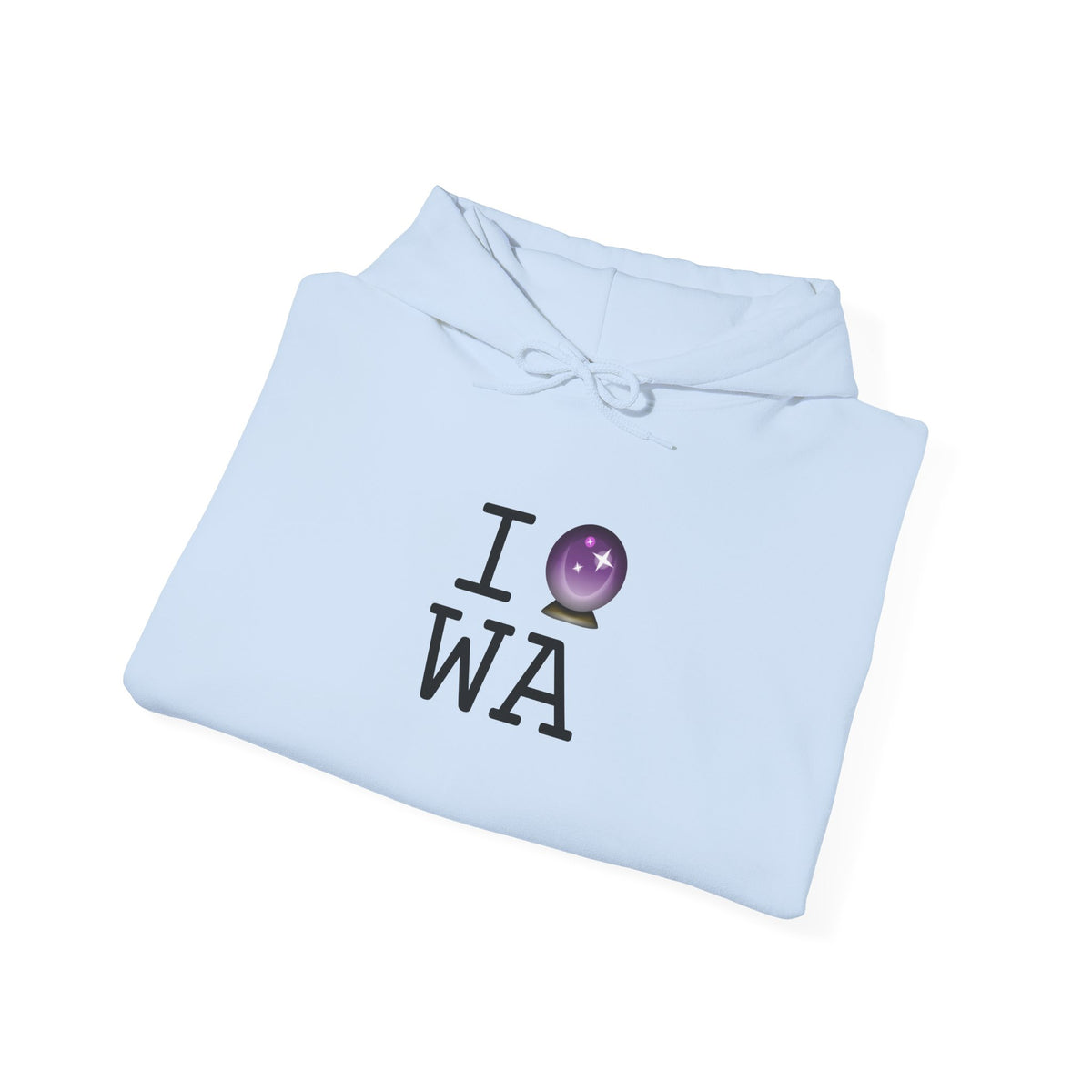"I Predict the Future (Crystal Ball) of Washington" Hoodie