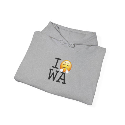 "I'm Furious about Washington" Hoodie