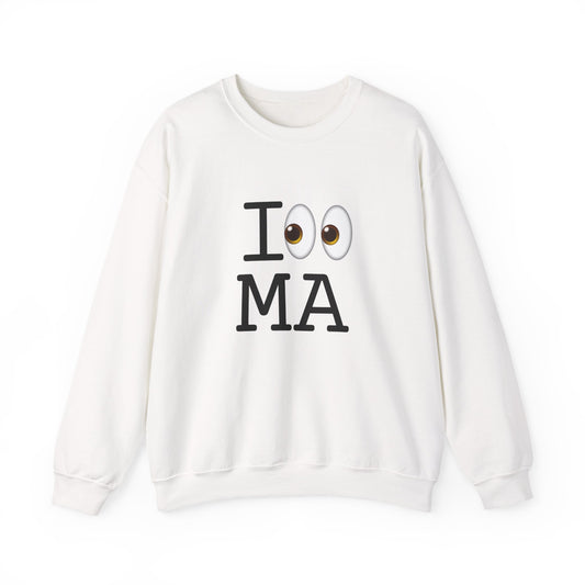 "I Look at Massachusetts" Sweatshirt
