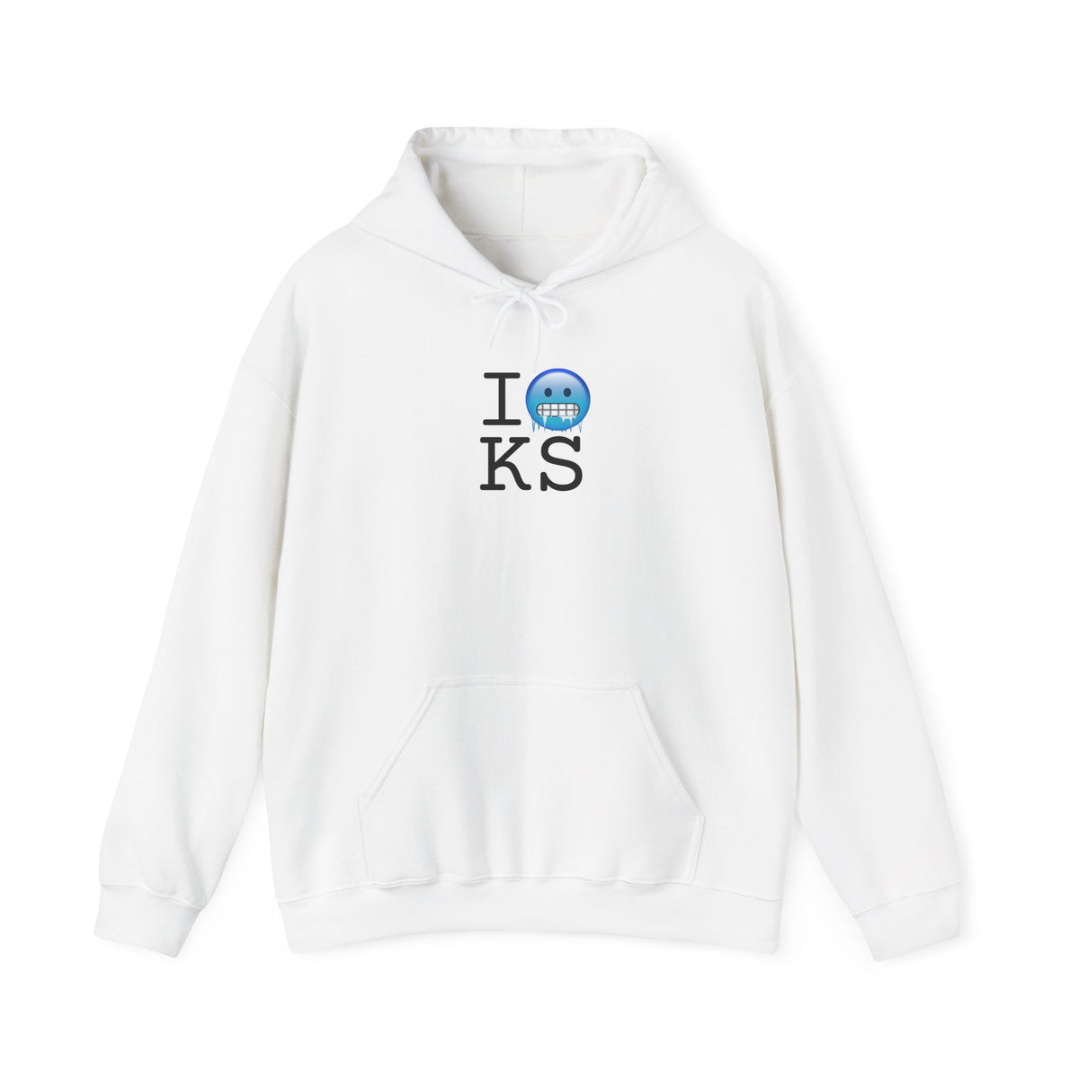 "I'm Cold in Kansas" Hoodie
