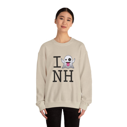 "I'm Ghosting New Hampshire" Sweatshirt