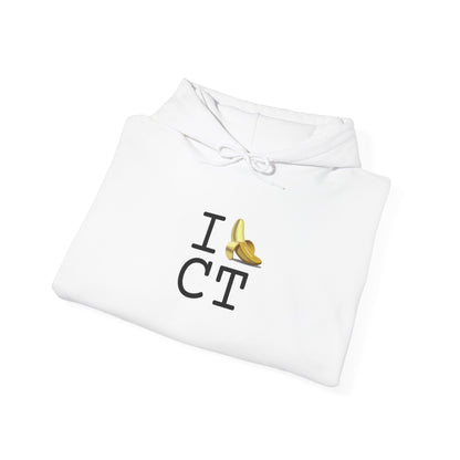 "I'm Bananas about Connecticut" Hoodie