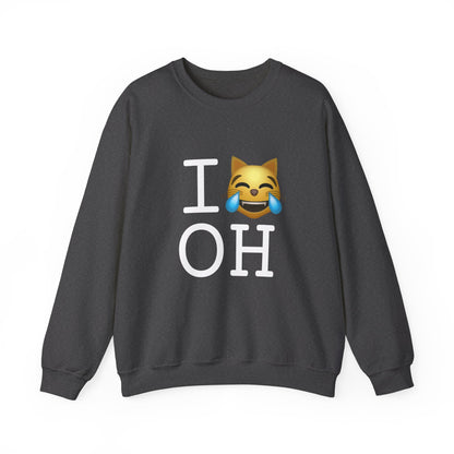 "I'm Laughing like a Cat at Ohio" Sweatshirt