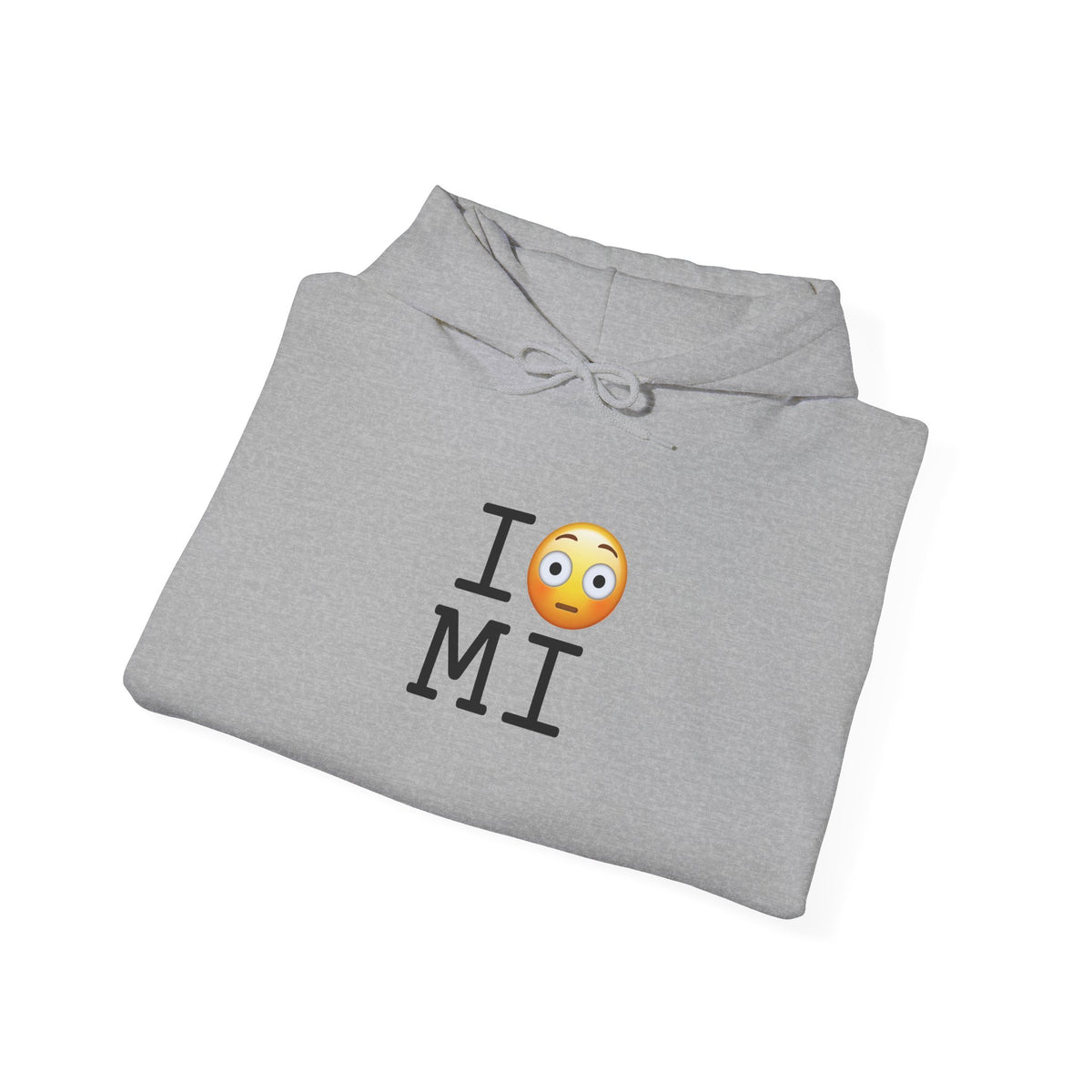 "I'm Embarrassed by Michigan" Hoodie