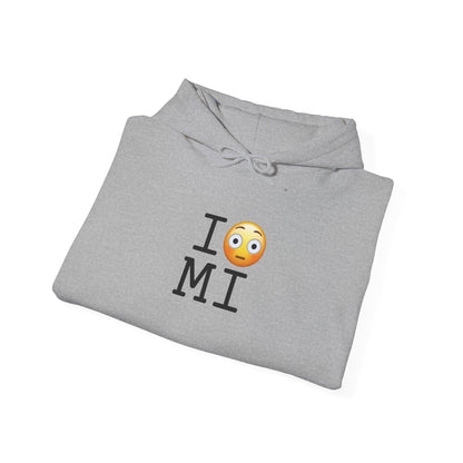 "I'm Embarrassed by Michigan" Hoodie