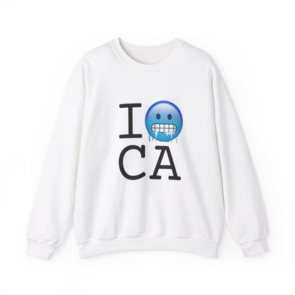 "I'm Cold in California" Sweatshirt