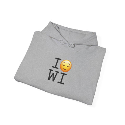 "I'm Relieved about Wisconsin" Hoodie