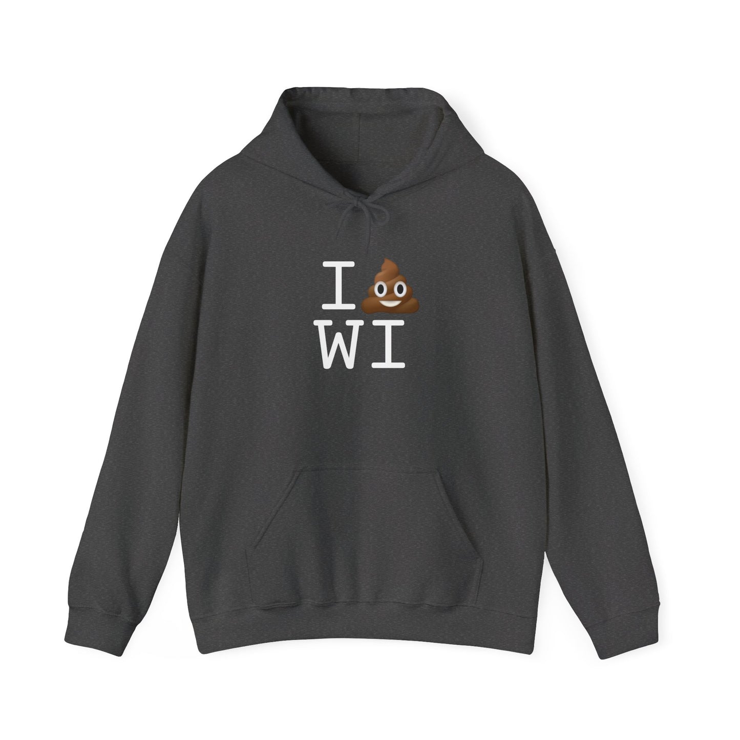 "I Poop in Wisconsin" Hoodie