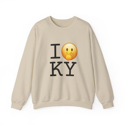 "I Messed Up (Oops) in Kentucky" Sweatshirt