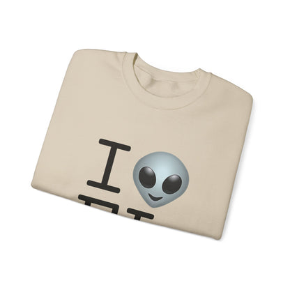 "I Feel Alien in Florida" Sweatshirt