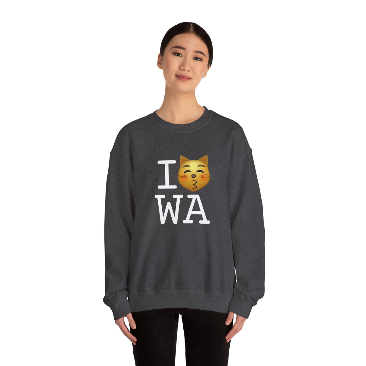 "I'm a Kissing Cat toward Washington" Sweatshirt