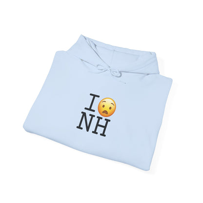 "I'm Anguished about New Hampshire" Hoodie