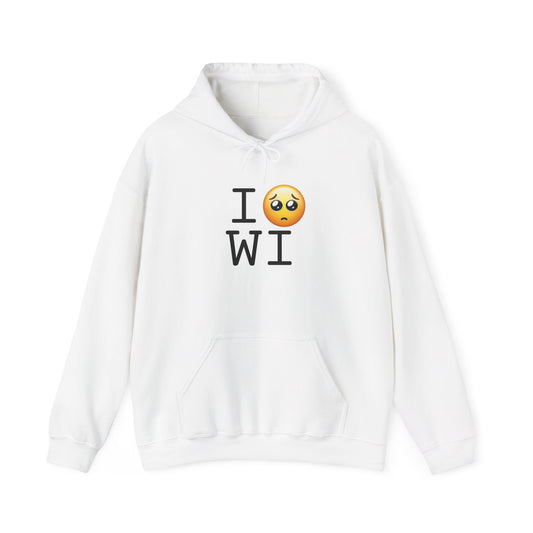 "I'm Begging about Wisconsin" Hoodie