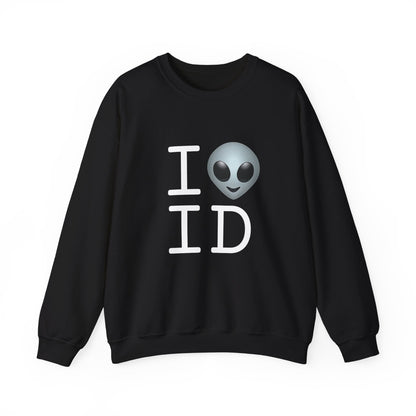 "I Feel Alien in Idaho" Sweatshirt