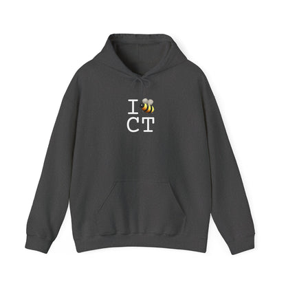 "I Bee in Connecticut" Hoodie