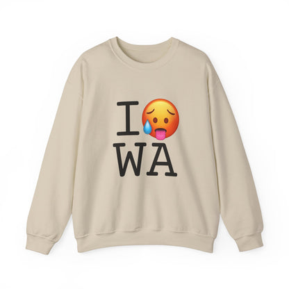 "I'm Hot in Washington" Sweatshirt