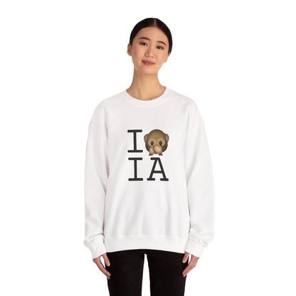 "I Don't Speak about Iowa" Sweatshirt