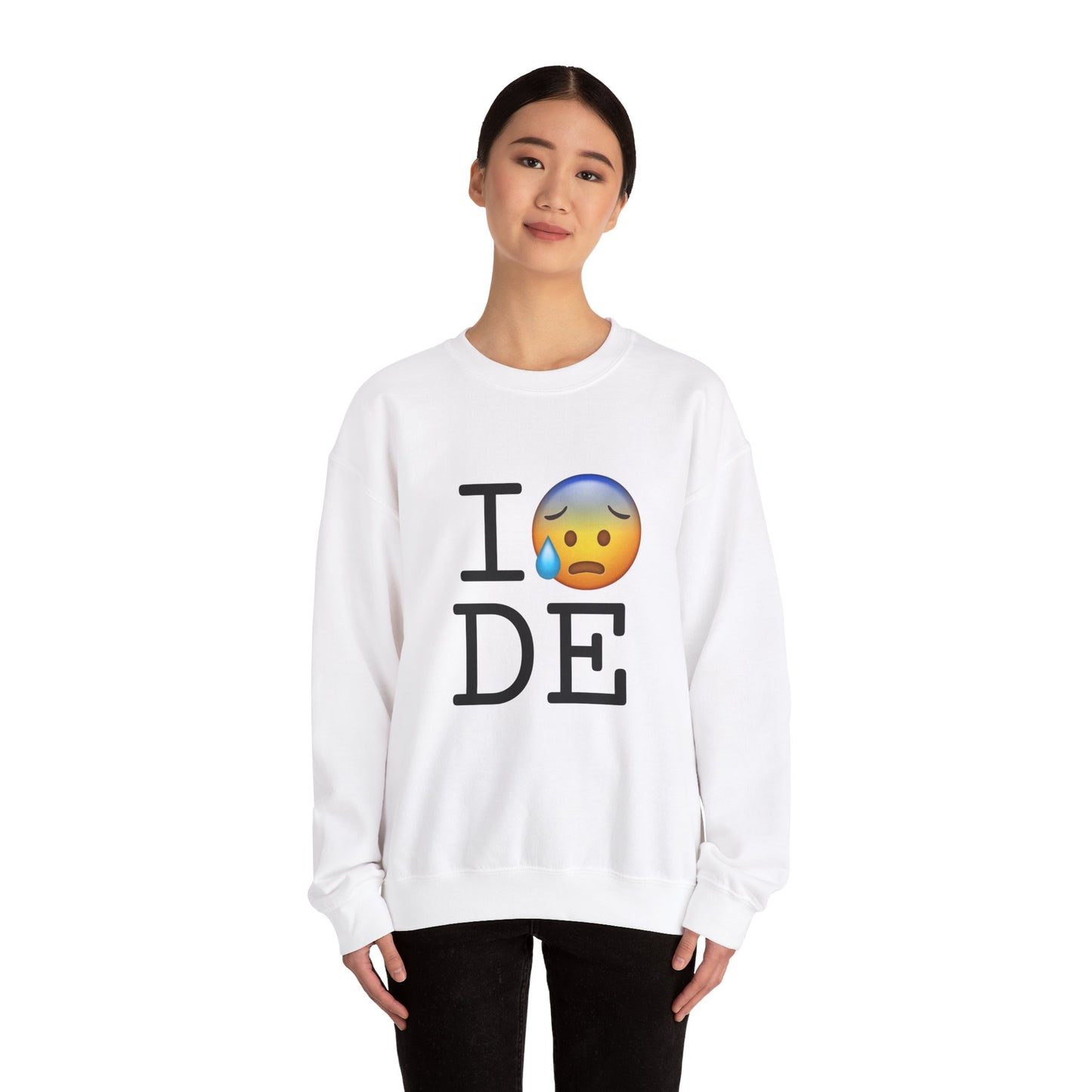 "I'm Anxiously Sweating in Delaware" Sweatshirt