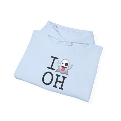 "I'm Ghosting Ohio" Hoodie