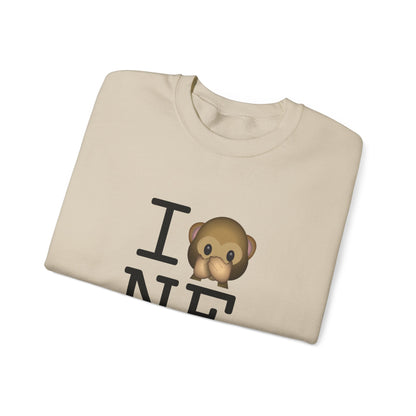 "I Don't Speak about Nebraska" Sweatshirt