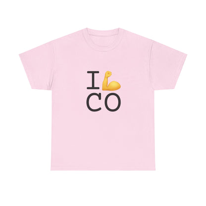 "I Flex in/on Colorado" Tee