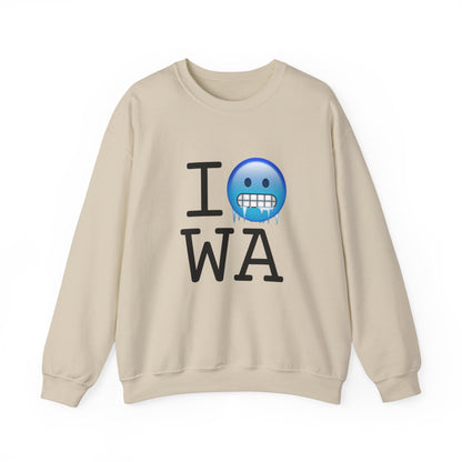 "I'm Cold in Washington" Sweatshirt