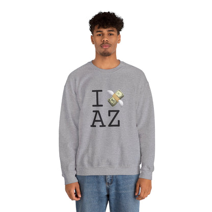 "I Lose Money in Arizona" Sweatshirt