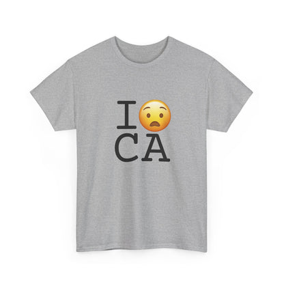 "I'm Anguished about California" Tee