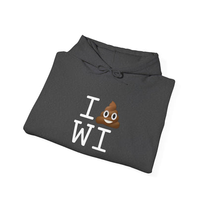 "I Poop in Wisconsin" Hoodie