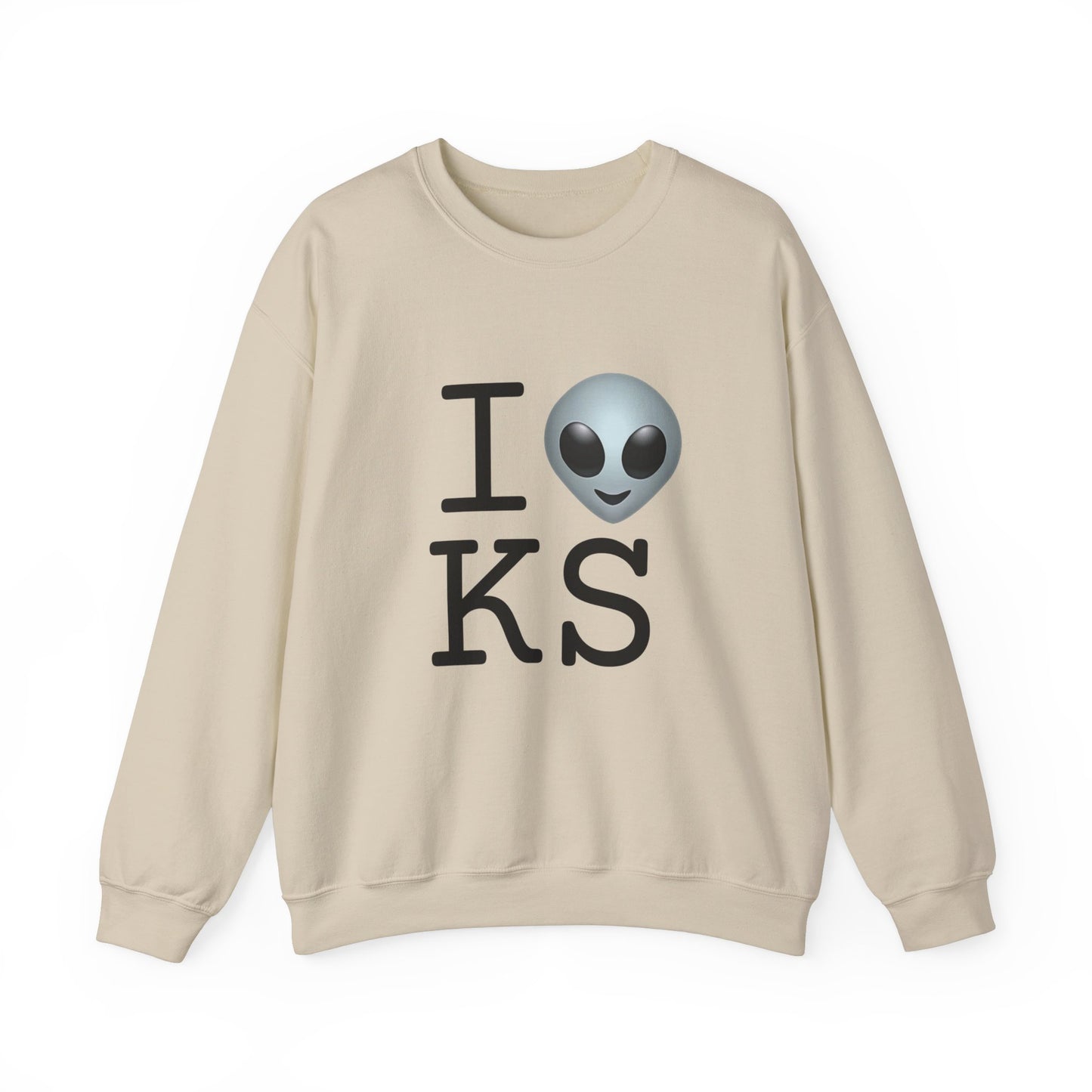 "I Feel Alien in Kansas" Sweatshirt