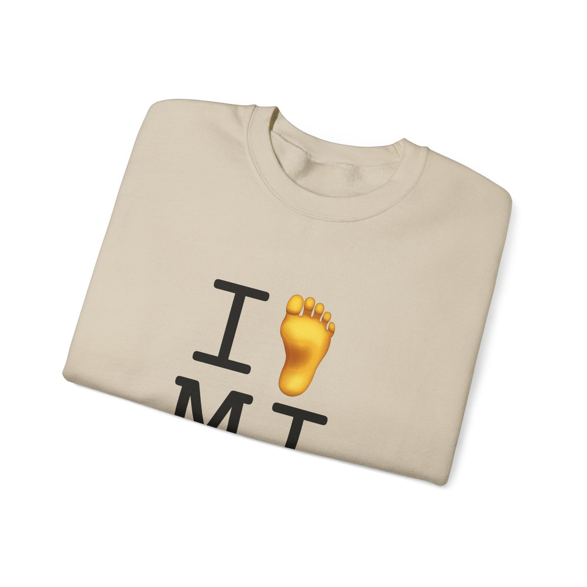 "I Foot Michigan" Sweatshirt