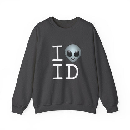 "I Feel Alien in Idaho" Sweatshirt