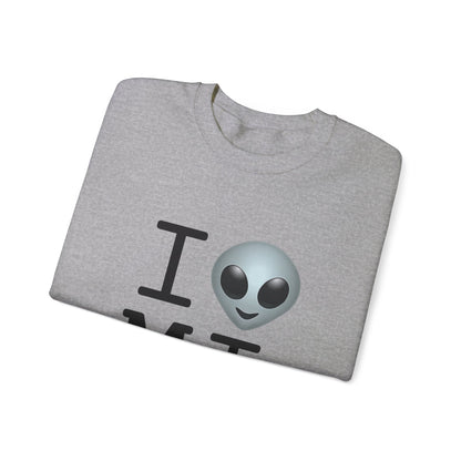 "I Feel Alien in Michigan" Sweatshirt