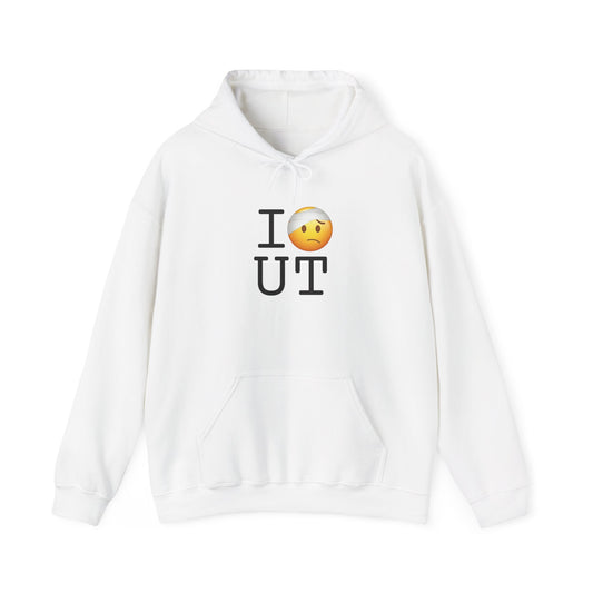 "I'm Hurt in Utah" Hoodie