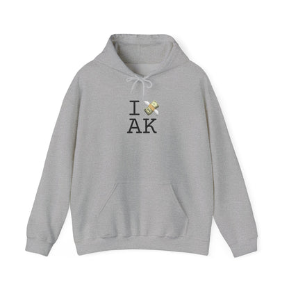 "I Lose Money in Alaska" Hoodie