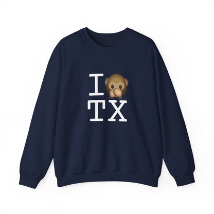 "I Don't Speak about Texas" Sweatshirt
