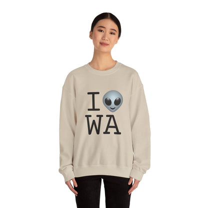 "I Feel Alien in Washington" Sweatshirt