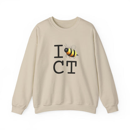 "I Bee in Connecticut" Sweatshirt