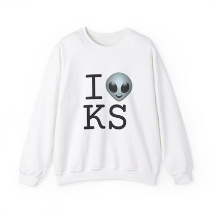 "I Feel Alien in Kansas" Sweatshirt