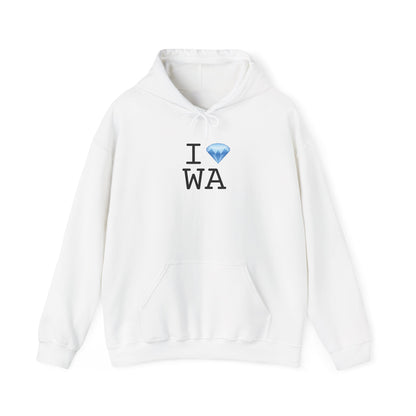 "I Diamond Washington" Hoodie