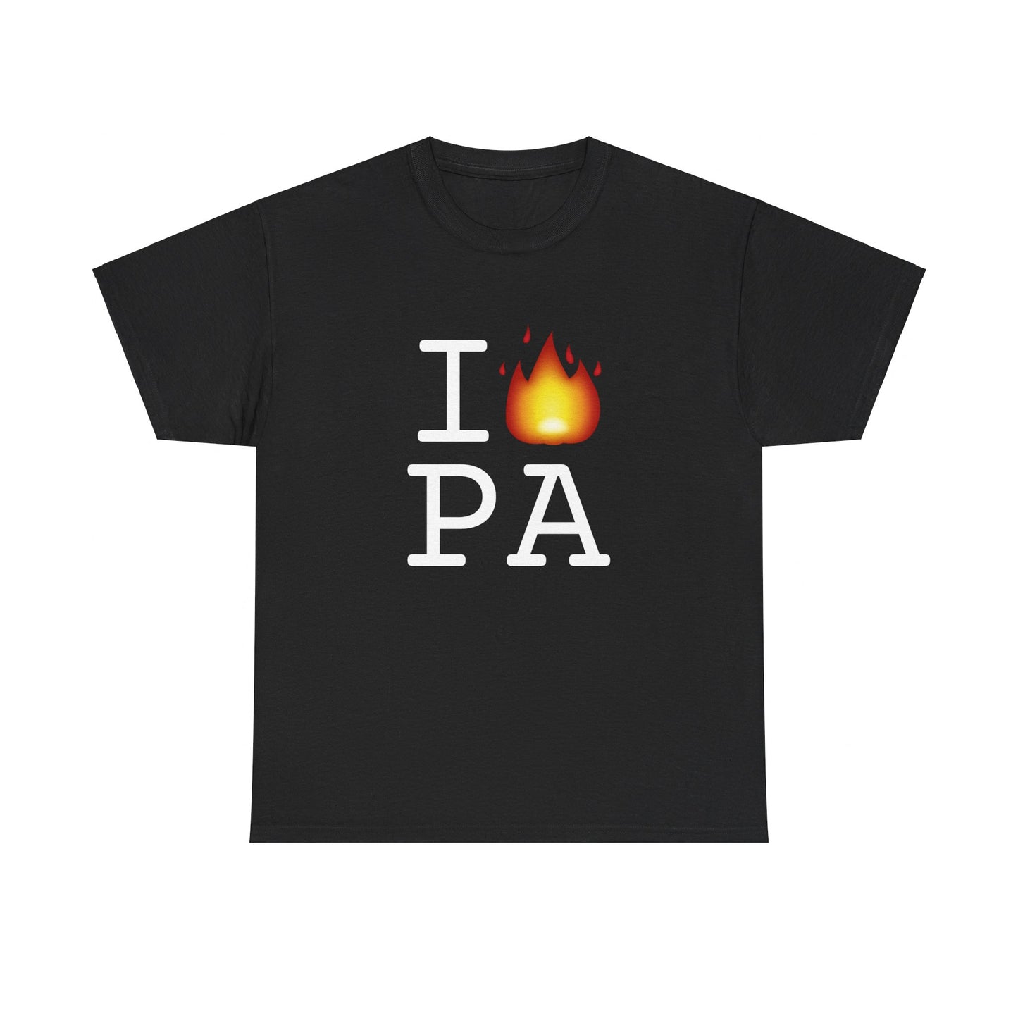 "I've got Fire for Pennsylvania" Tee