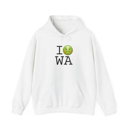 "I'm Nauseous about Washington" Hoodie