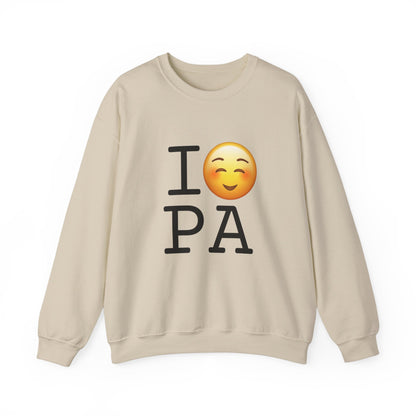 "I Blush at Pennsylvania" Sweatshirt