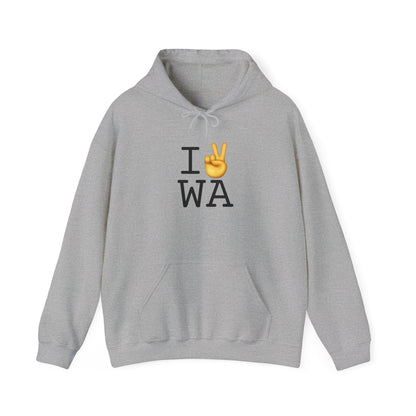 "I Show Peace to Washington" Hoodie