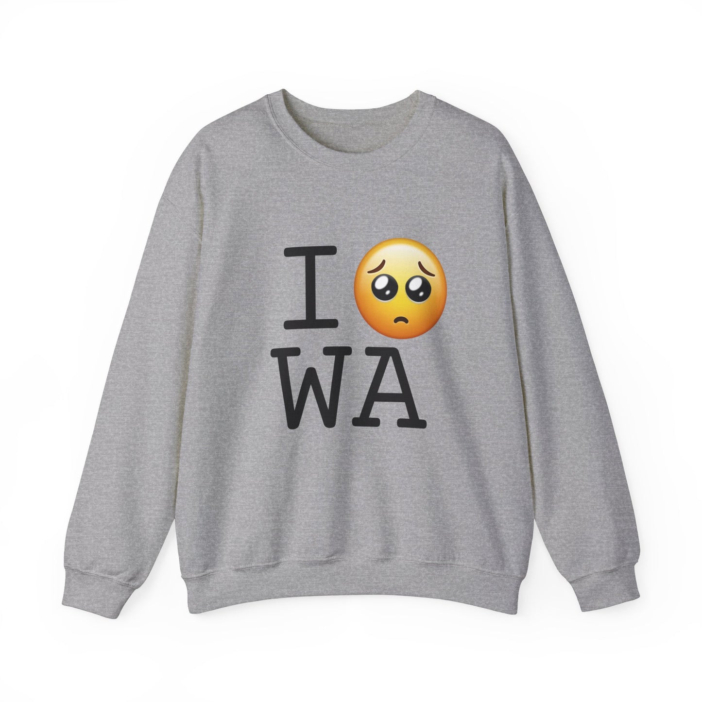 "I'm Begging about Washington" Sweatshirt