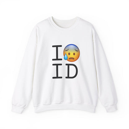 "I'm Anxiously Sweating in Idaho" Sweatshirt