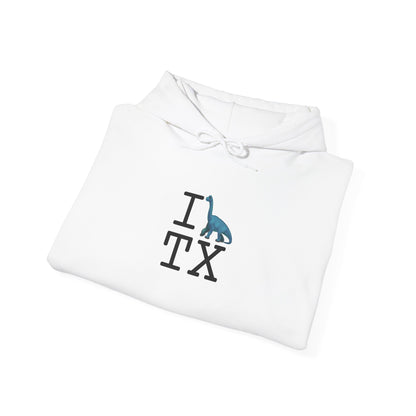 "I'm a Dinosaur in Texas" Hoodie