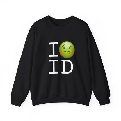 "I'm Nauseous about Idaho" Sweatshirt