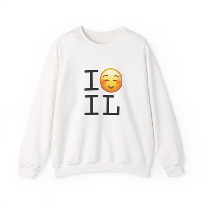 "I Blush at Illinois" Sweatshirt