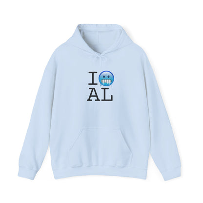 "I'm Cold in Alabama" Hoodie